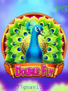 Explorando o Universo de DoubleFly e suas Regras